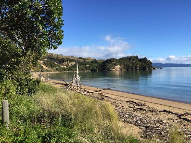 1106 Abel Tasman Drive Ligar Bay_8