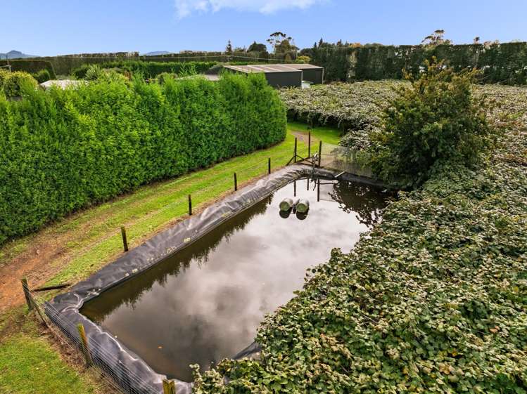 236 Walker Road East Aongatete_13