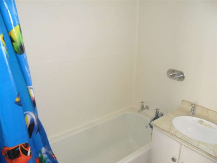 93 David Street Hinds_8