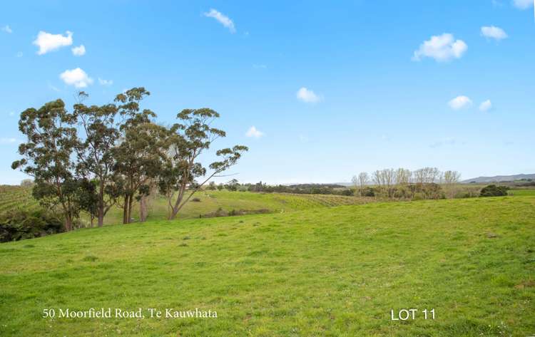 52 Moorfield Road Te Kauwhata_18