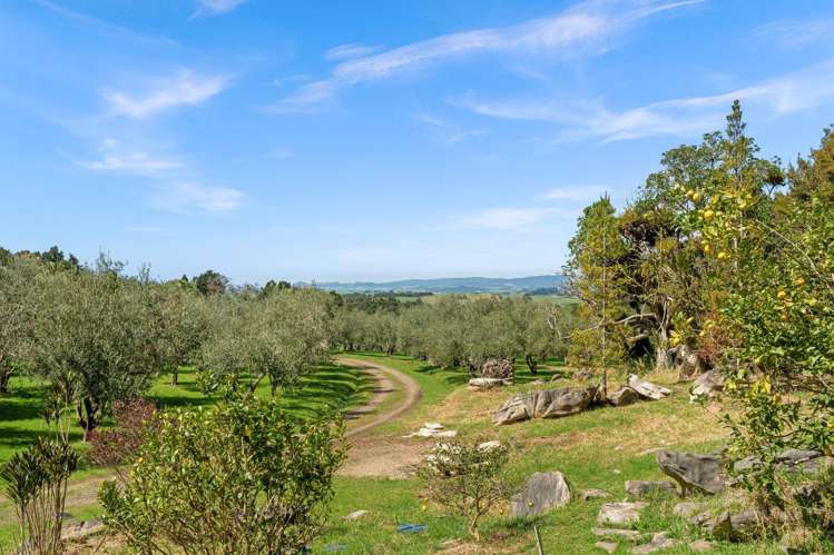 728 Ormiston Road Waipu_31