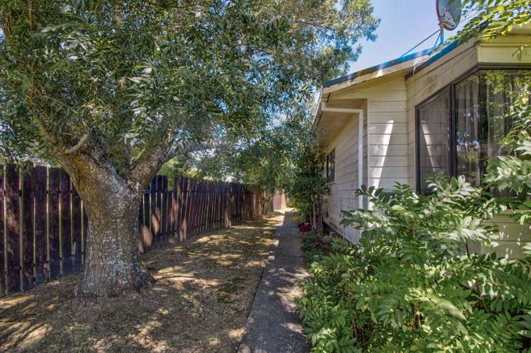 231 Finlayson Avenue Clendon Park_14