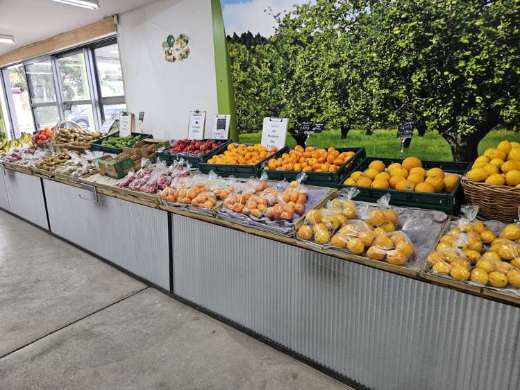 Address withheld Auckland Central_13