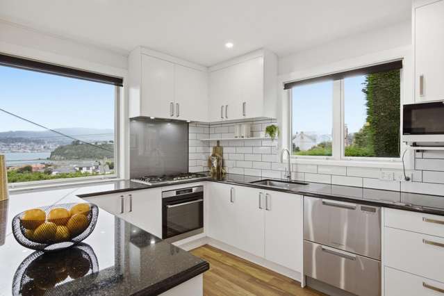 21 Spottiswoode Street Andersons Bay_2
