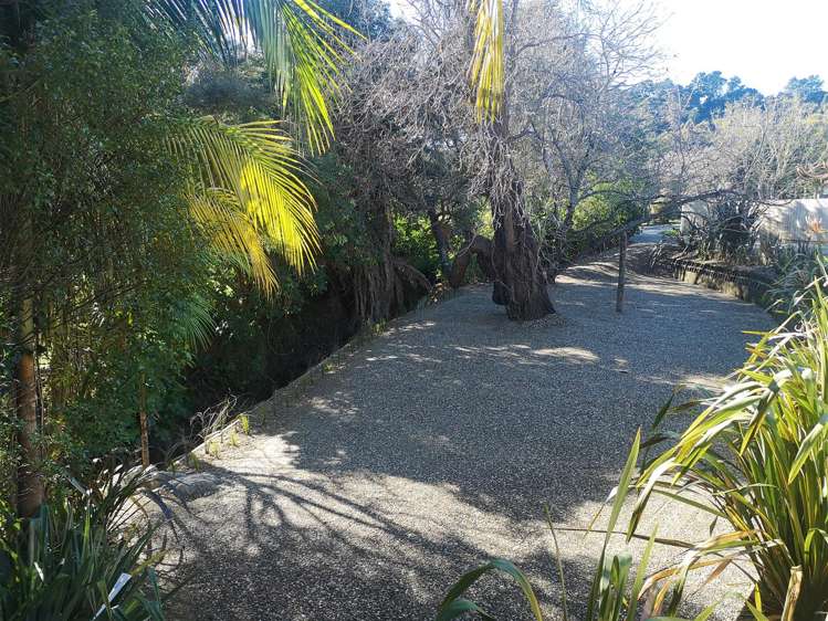 22 Oswald Street Mangapapa_19