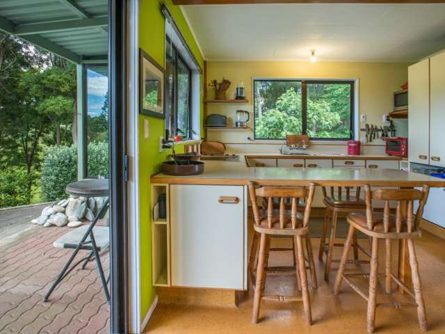 196 Pahoia Road Whakamarama_3