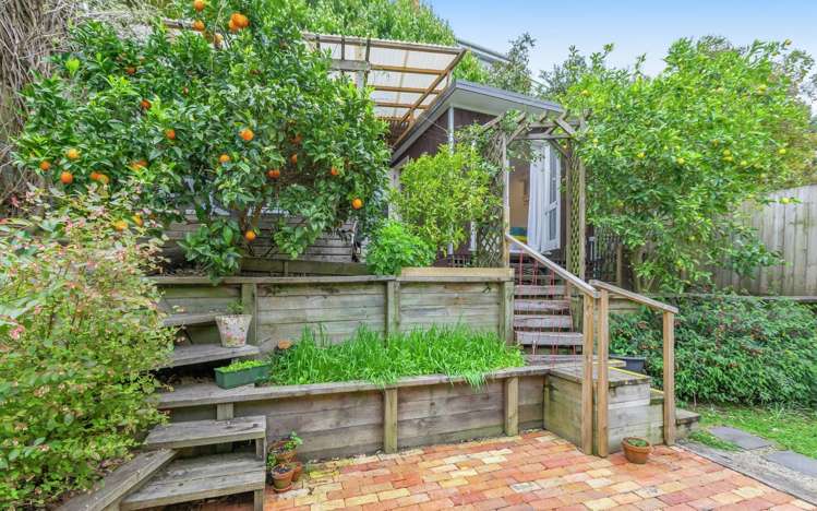 6 Bright Street Eden Terrace_13