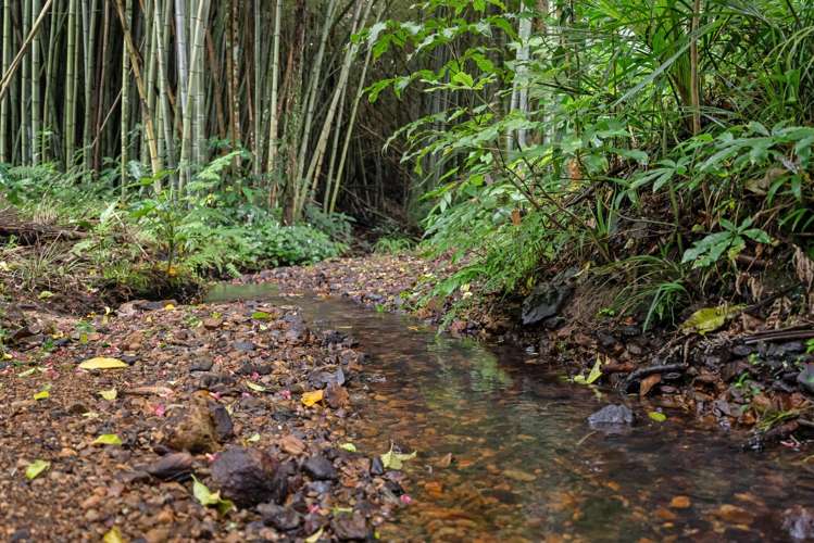 65 Russell Road Kensington_19