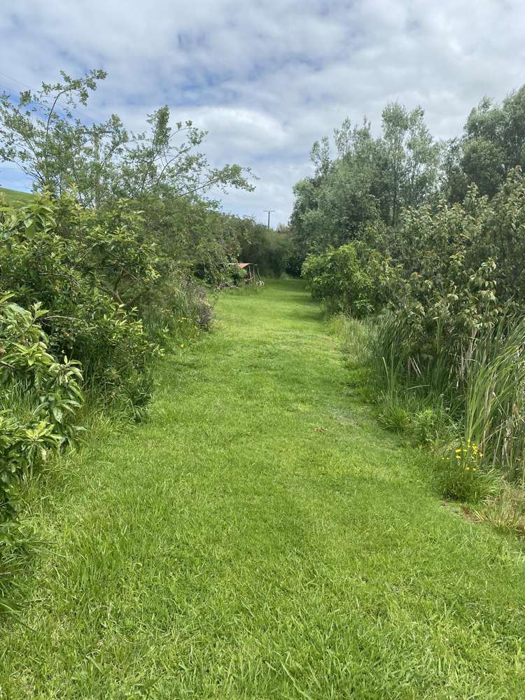 167 Wilson Road Kakaramea_2