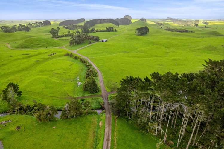 677 Newall Road Newall_13