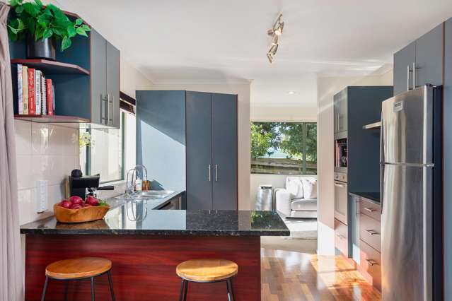 56A Mount Royal Avenue Mount Albert_2