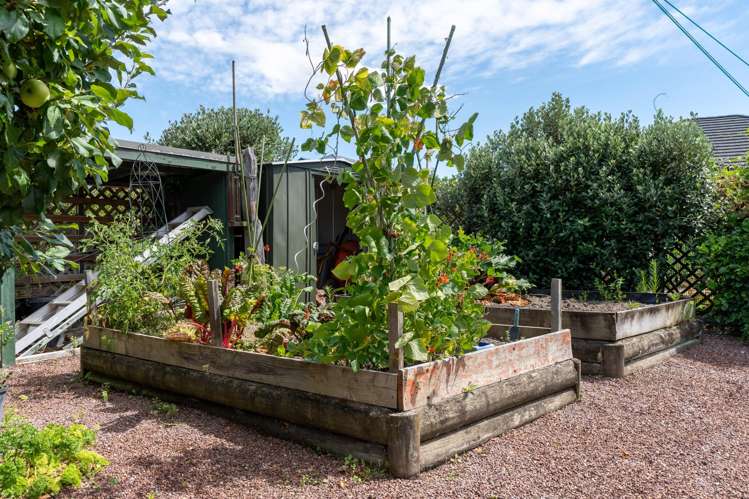 74 Titoki Street Lansdowne_24