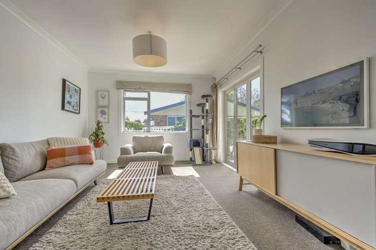 19 Nixon Street Hamilton East_1