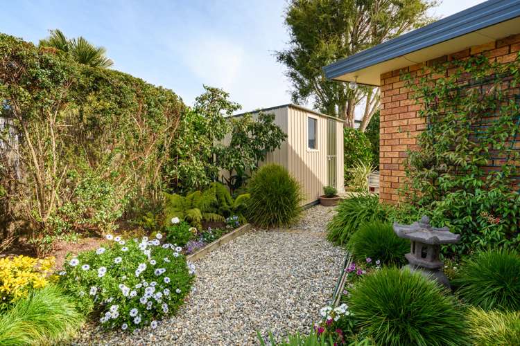 17 Suffolk Crescent Feilding_19