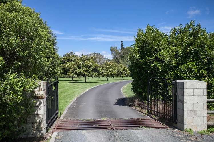 42d Woodcock Road Tamahere_1
