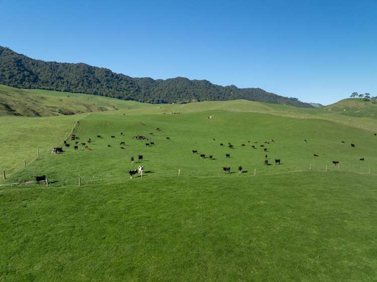 134 Old Te Aroha Road Te Poi_18