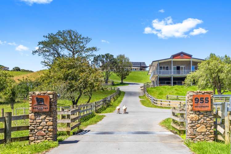 955 Ahuroa Road Puhoi_21