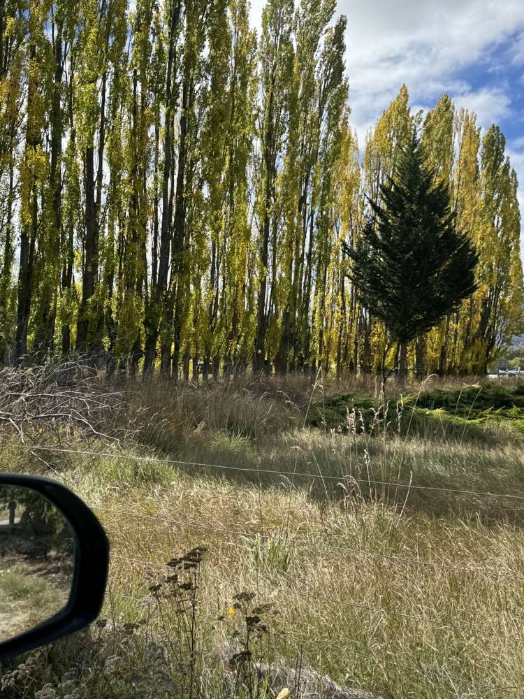 3 Omarama-Lindis Pass Road Omarama_10