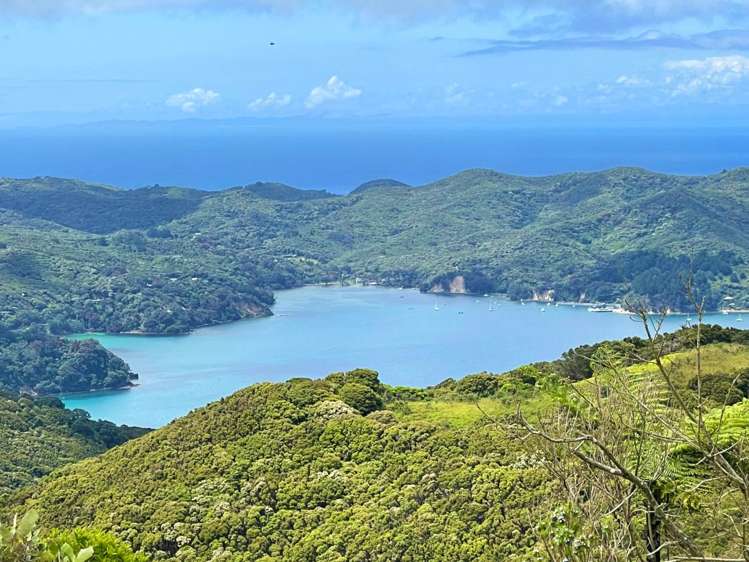 Parish of/3 Allotmen Schooner Bay Road Great Barrier Island_1