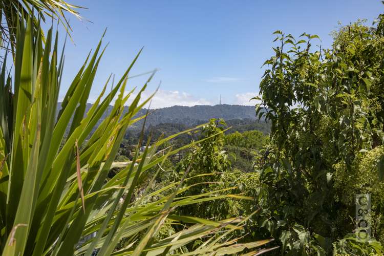 492 West Coast Road Glen Eden_16