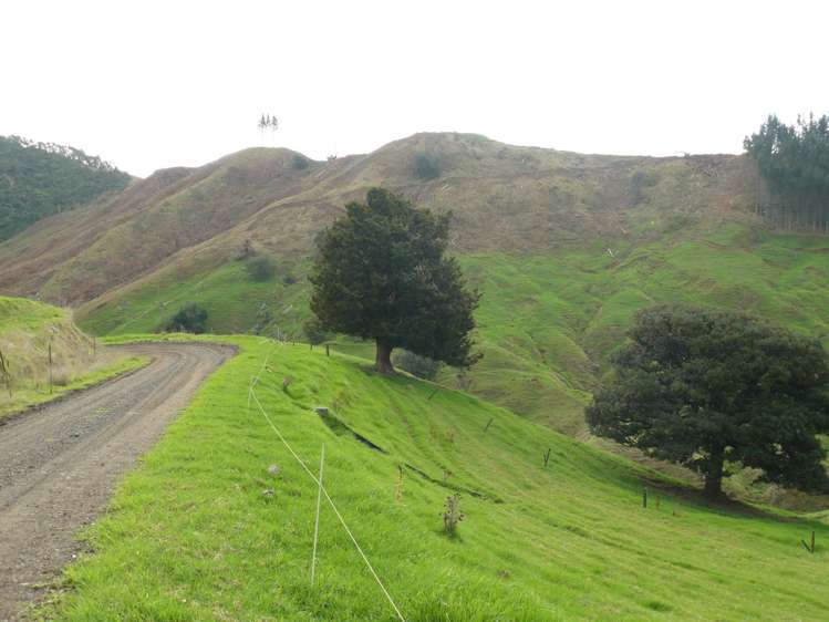 481 Moore Road Pipiwai_19