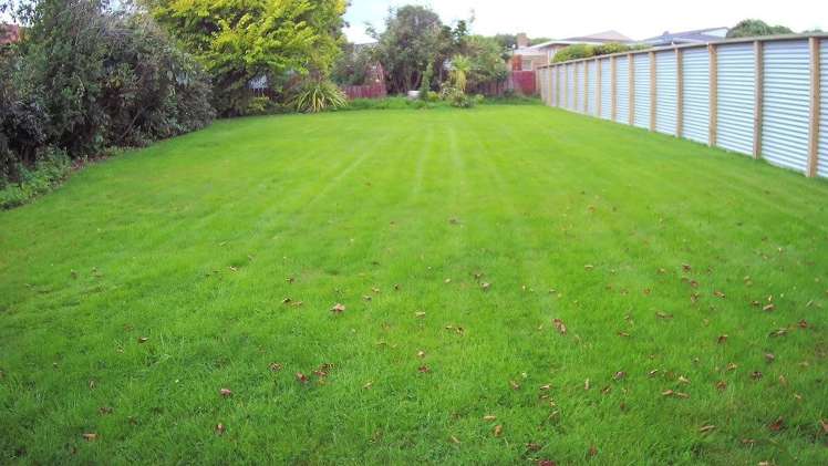 199 Wilton Street Rosedale_6