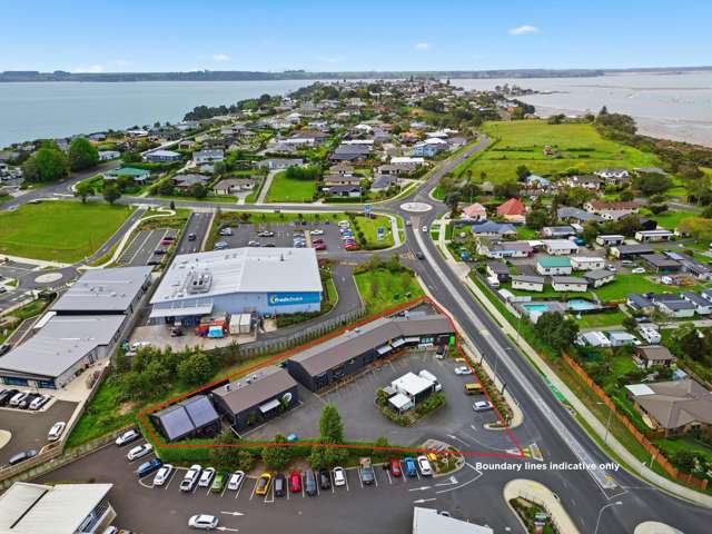 Multi-tenanted investment on large freehold site