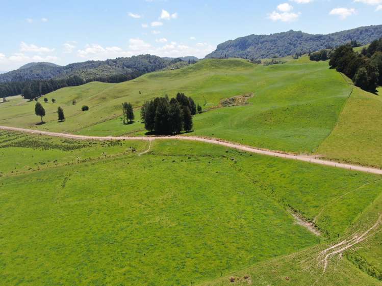 24 Pukeuha Road Aria_19