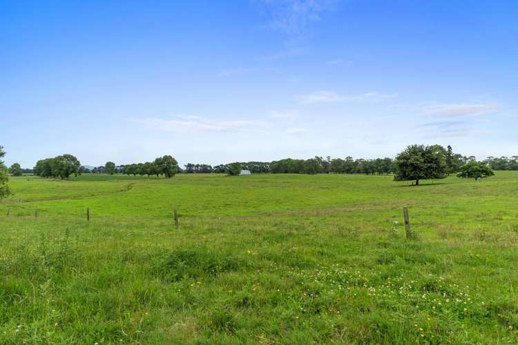 51a Waverley Road Gordonton_27