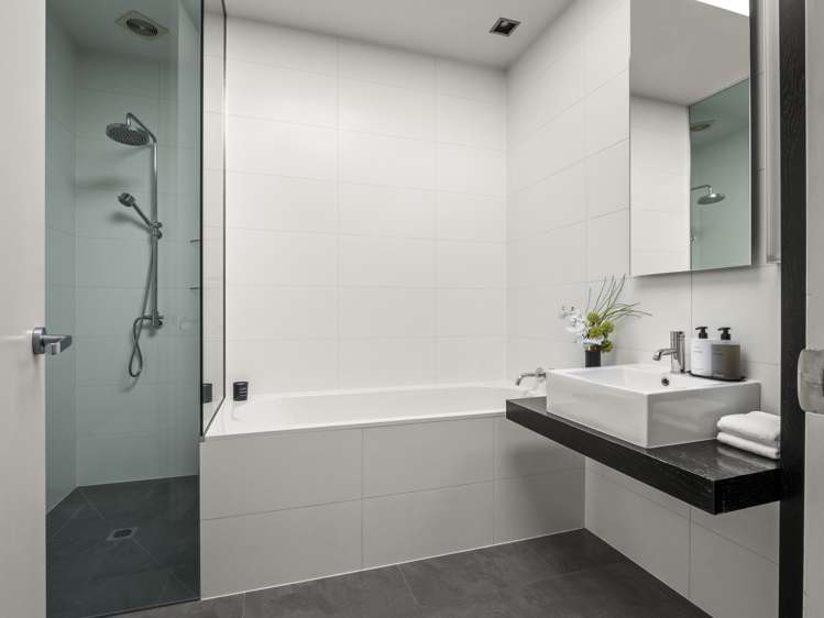 14 Avon Street Parnell_16