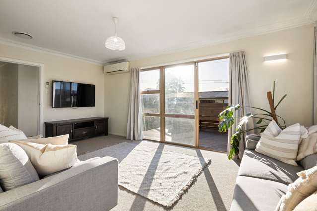 153 Ellicott Road Nawton_4