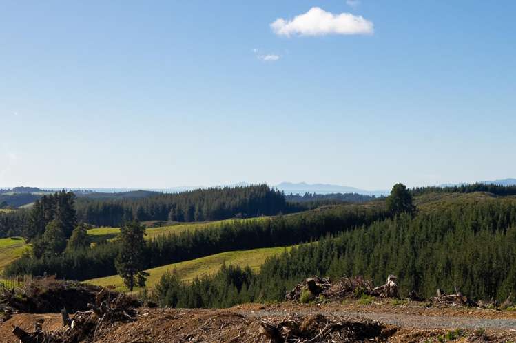 Supplejack Valley Road Upper Moutere_11