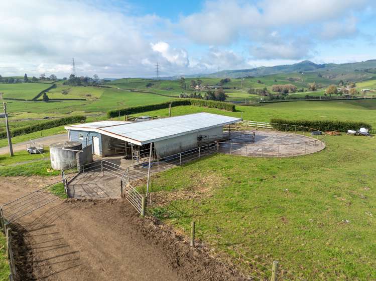 376 Starkey Road Morrinsville_4