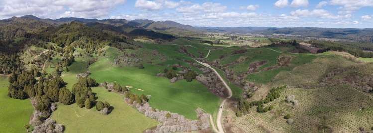 283 Minginui Road Galatea_44