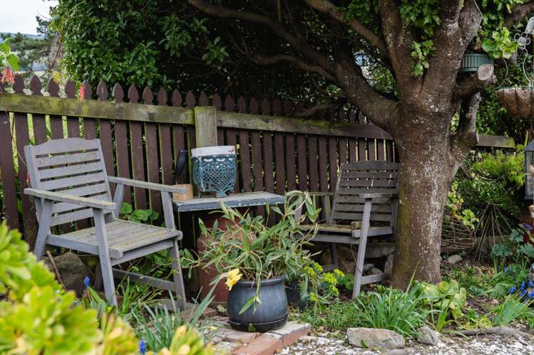 22 Appleby Street Hampden_23