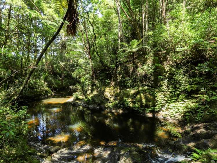 11 Duck Creek Road Warkworth_12