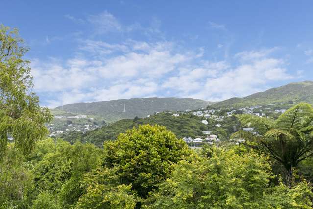 20 Imlay Crescent Ngaio_2