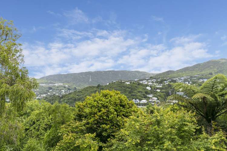 20 Imlay Crescent Ngaio_2