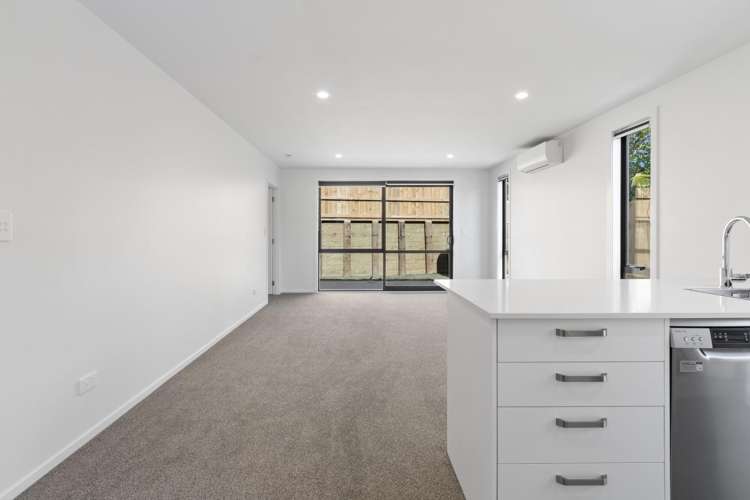 4/155 Rimu Street 2752_4