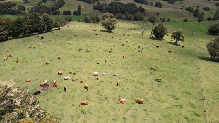 1387 State Highway 1 Okaihau_4