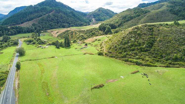 845 Shenandoah Highway Murchison_5