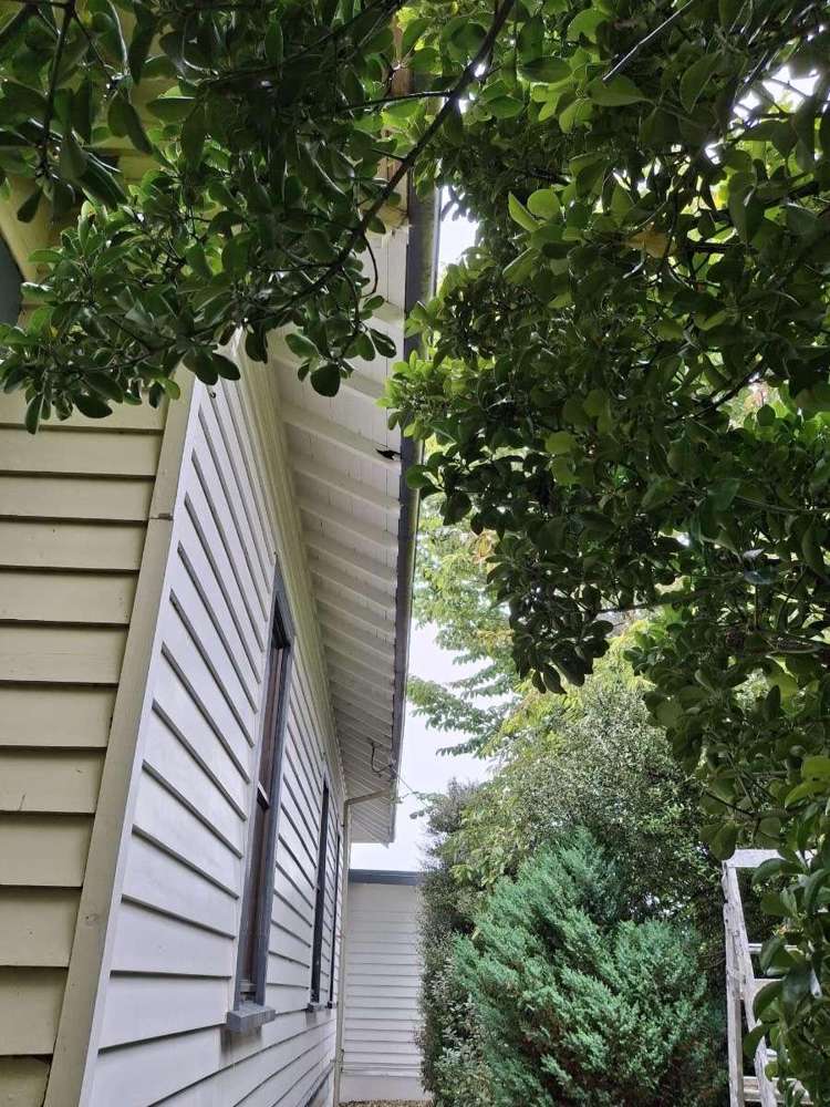 10 Carlyle Street Mataura_21