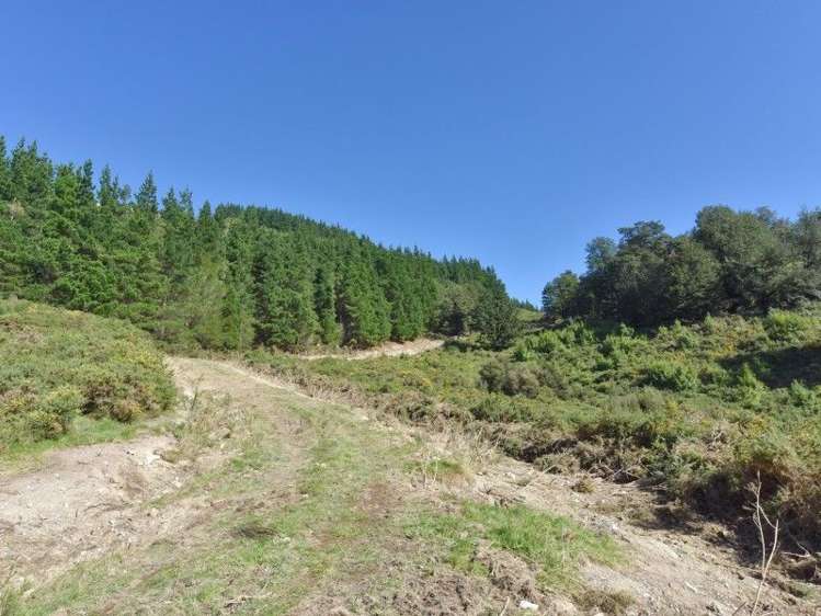 446 Glentui Bush Road Glentui_32