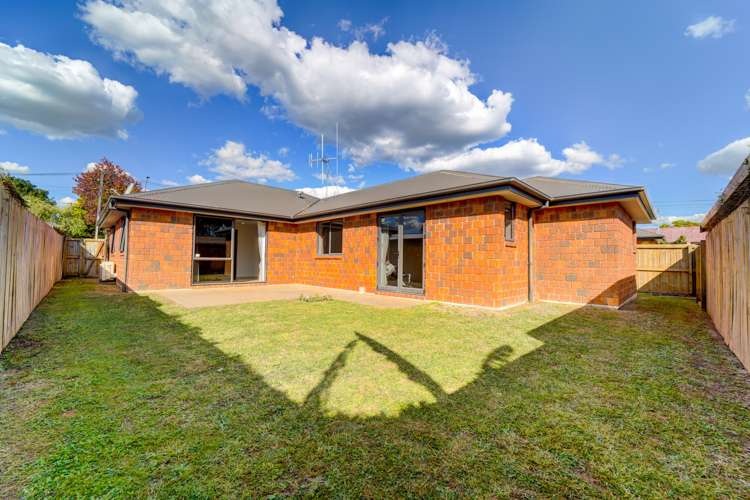 149a Galloway Street Hamilton East_12