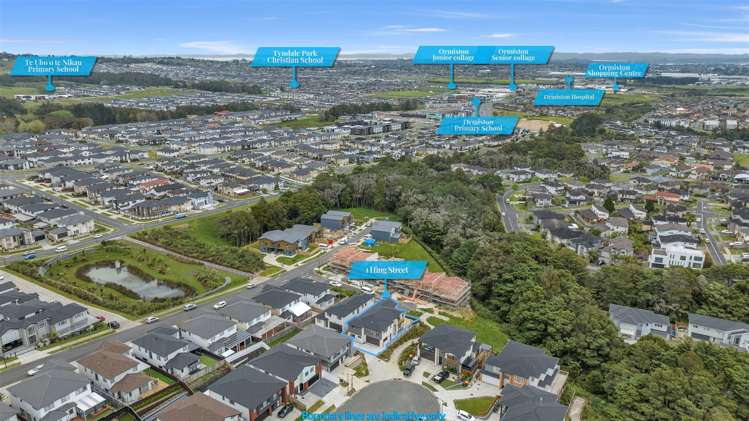 1 Hing Street Flat Bush_30