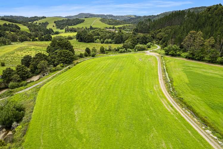 10 ha Peach Orchard Road Whakapara_8