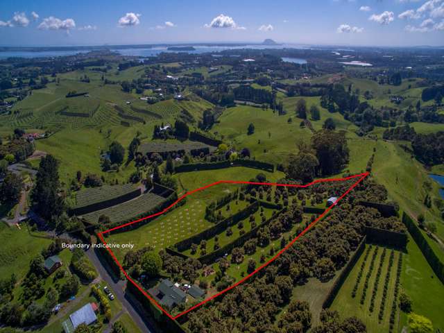 313 Youngson Road Whakamarama_2