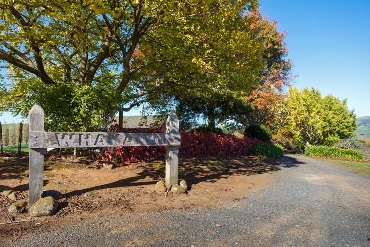 24 Waterworks Road Morrinsville_17
