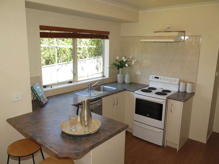 19 Tutchen Avenue Raglan_7