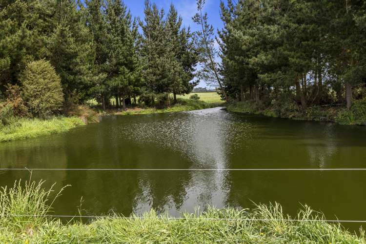 266 Rangiora Leithfield Road Sefton_8